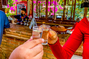 Mazatlán: Fábrica de tequila y turismo rural