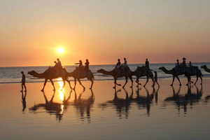 North of Rocks on Cable Beach: 1-Hour Sunset Camel Ride