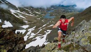 Salomon Shop