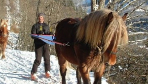 Ski Joering Mont Blanc