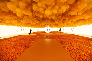 Balloon Museum Chicago - EmotionAir - Flex Ticket