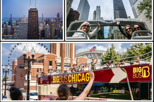 Чикаго: 360 CHICAGO и экскурсия с остановками на автобусе Big Bus
