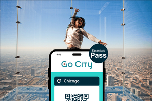 Chicago Essentials Pass: bezoek 3 topattracties