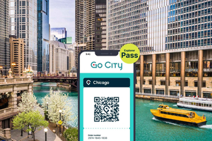 Chicago Explorer Pass: da 2 a 7 attrazioni, incluso SkyDeck