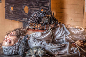 Chicago: Medieval Torture Museum Ticket with Ghost Hunting