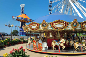 Play the Park Unlimited 1-Day Pass for Navy Pier