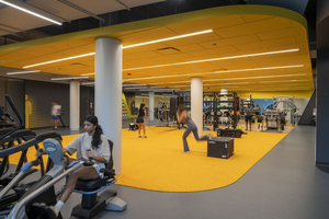 Humboldt Park Health Wellness Center