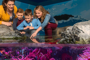 Ogólne Wstęp do SEA LIFE Michigan Aquarium