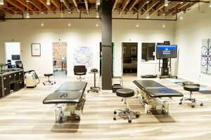 The Neurologic Wellness Institute Chicago Functional Neurology