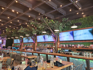 Tree House Chicago