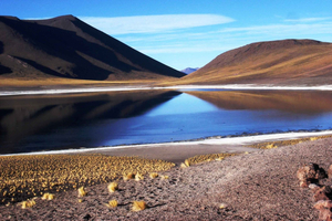 Altiplanic Lagoons and Red Stones from San Pedro de Atacama