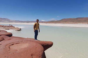 Atacama Salt Flat, Piedras Rojas, and Altiplanic Lagoons