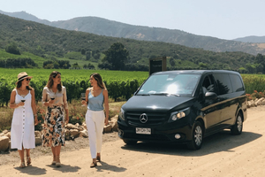 Casablanca Valley Organic Sightseeing Tour