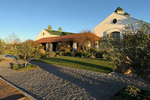 Casas del Bosque : Wine Tasting, Lunch & Transfer
