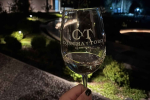 Concha y Toro Night Tour with Dinner & Private Transfer
