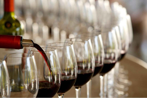 Concha y toro tour