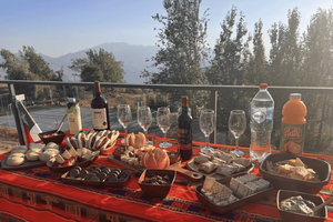 Experience the Andes Mountains with a sunset picnic