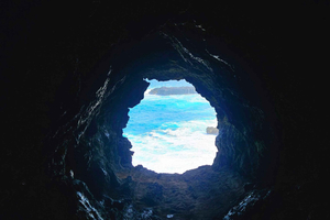 Explore Polynesia: Rapa Nui, nature, and adventure