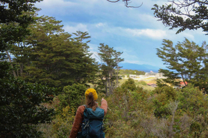 From Punta Arenas: Fort Bulnes Hike and History Tour