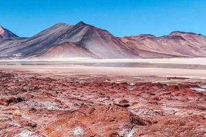 De San Pedro de Atacama: Lagoas e Piedras Reds