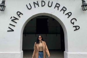 From Santiago: Undurraga Winery Tour & Wine Tasting
