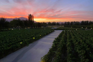 From Santiago: Viña Alyan with tasting, dinner, and transfer