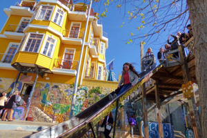 De Santiago: Tour por Vinhedos, Valparaíso e Viña del Mar