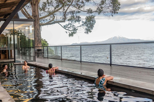 Frutillar: Half-Day Geothermal Biopools with Views of Lake Llanquihue