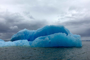 Full Day Visit to Laguna San Rafael + Glacier