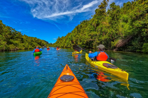 Half-Day Kayak Tour on the Maullín River in Puerto Varas