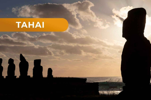 Half-Day Sightseeing Tour of Akivi, Tahai, and Puna Pau Quarry