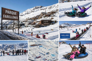 Mountain Range & Santiago: Farellones + Valle Nevado Sightseeing Tour and Santiago City Tour