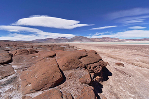 Piedras Rojas, Altiplanic Lagoons & Salar Full-Day Tour