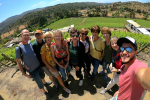 Private Casablanca Wine Valley: 2 Boutique Wineries & Lunch