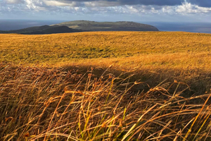 Private Hike to Terevaka Volcano – The Summit of Rapa Nui