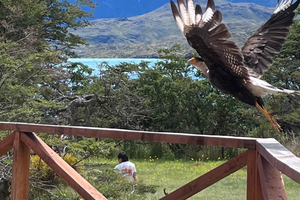 Private Torres del Paine Panoramic Experience (Max 4 Guests)