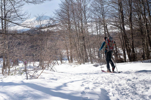 Pucón: Ski Touring on Villarrica, Quetrupillán, or Lanín