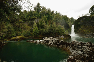 Pucón: Tour to Huilo Huilo with Lakes, Waterfalls, and Nature