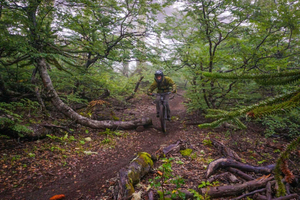 Pucón Volcano Mountain Biking Tour