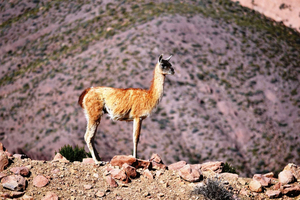 Rainbow Valley from San Pedro de Atacama