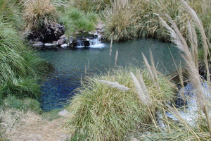 San Pedro de Atacama: Half-Day Tour to Puritama Hot Springs