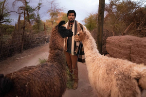 San Pedro de Atacama: tour dei lama e della cultura indigena