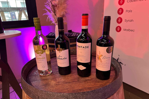 Santiago: Cata de vinos 