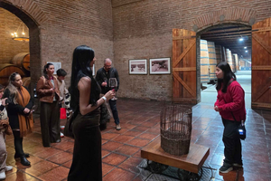 Santiago: Cousiño Macul Vineyard Tour with 6 Wine Tasting