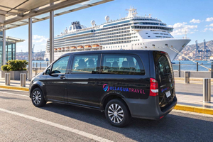 Santiago to Valparaiso Cruise Port: Private Transfer and Wine Tasting