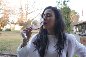 Santiago: Undurraga Winery Guided Tour with Wine Tasting