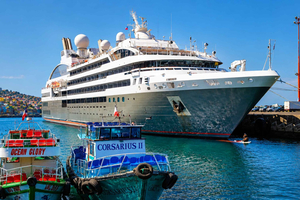 Santiago: Valparaíso Cruise Port Transfer & Vineyard Tour
