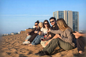 Santiago: Valparaiso, Llama Vineyard & Concon Dune Sunset