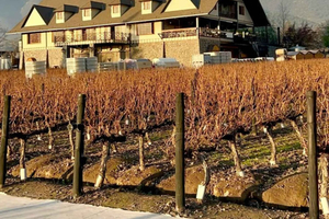 Santiago Viña Alyan: Food and Wine Evening