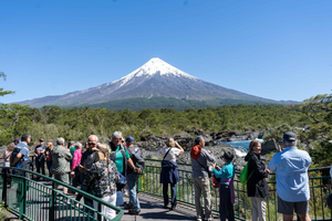 Shore Excursion: Petrohué Falls, German Cities & Wine